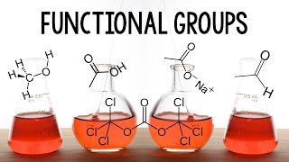 Intro to Functional Groups [upl. by Jeminah666]