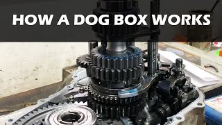 How a Dog Box works [upl. by Llebiram]