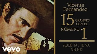 Vicente Fernández  Qué Tal Te Va Sin Mí Tema Remasterizado Cover Audio [upl. by Mad]