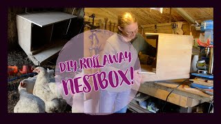 Making a DIY Roll Away Nestbox [upl. by Negah]