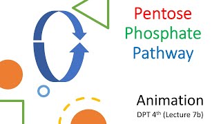 Animated Pentose Phosphate Pathway Complete [upl. by Adnyc]