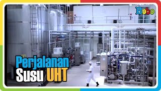 Proses Pembuatan Susu UHT di Pabrik susu Ultrajaya [upl. by Ramona]