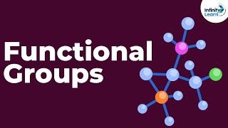 Introduction to Functional Groups  Dont Memorise [upl. by Llenrahc777]