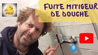 Fuite deau sur mitigeur de douche [upl. by Letsirk]