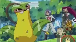 Weepinbell evoluciona a Victreebel sin una piedra hoja  FAIL anime Pokémon [upl. by Ikim]