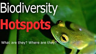 What are Biodiversity hotspots [upl. by Anar]