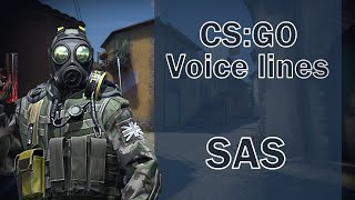 CSGO Agent Voice Lines SAS [upl. by Krall]