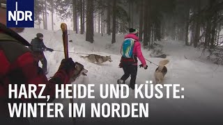 Erlebnis Winterzauber  die nordstory  NDR Doku [upl. by Quintie]