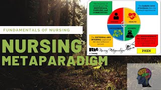 Nursing Metaparadigm  FUNDA [upl. by Sirama]