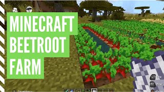 How To Plant BEETROOT In Minecraft Minecraft Beetroot Farm [upl. by Etnasa]