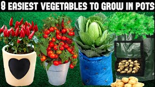 Top 8 Easy To Grow Vegetables For BeginnersSEED TO HARVEST [upl. by Naitsirc]