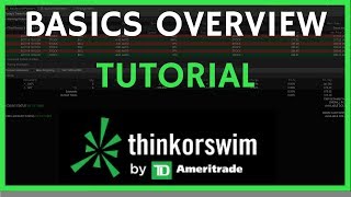 ThinkorSwim Tutorial Basics Overview for Beginners [upl. by Ylebmik561]