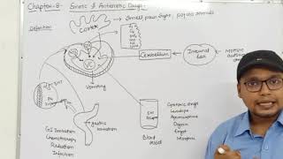 Emetics amp Antiemetics Drugs Physiology of Vomiting Classification  Ch8 Unit1 PharmacologyIII [upl. by Annaeerb]