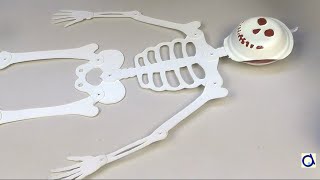 DIY Cardboard skeleton repair [upl. by Anrol]