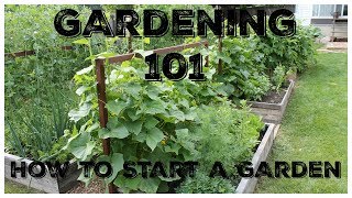 Gardening 101 How To Start A Garden [upl. by Torrence]