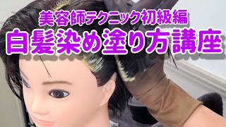 【美容師テクニック初級編】白髪染め塗り方講座 [upl. by Wallache]