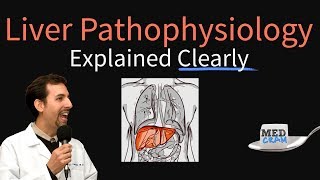 Liver Explained Clearly  Pathophysiology LFTs Hepatic Diseases [upl. by Ewell]