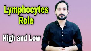 What is Lymphocyte  Role of Lymphocytes [upl. by Gearalt]