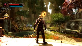 Kingdoms of Amalur ReReckoning Gameplay PC HD 1080p60FPS [upl. by Havot]