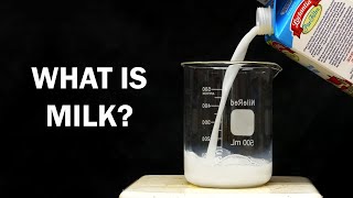 What is Milk made of [upl. by Dnalram506]