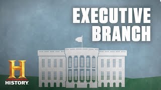 What Is the Executive Branch of the US Government  History [upl. by Stephannie238]