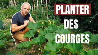 Tuto jardin  Comment planter des courges [upl. by Irami]