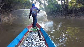 KEMBALI MENJALA KAWANAN IKAN YANG SEDANG TURUN [upl. by Ilojne]