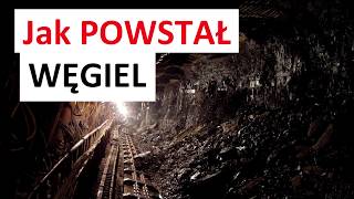 Jak POWSTAŁ WĘGIEL [upl. by Akins]