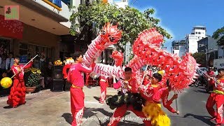 Dragon Dance Best Performance on street in Saigon Vietnam [upl. by Pump]