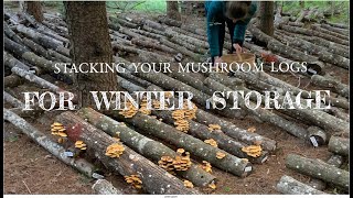 How to Stack Your Mushroom Logs for Winter Storage [upl. by Pardner]