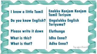 Learn Tamil through English  Survival phrases [upl. by Howlend899]