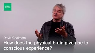 Hard Problem of Consciousness — David Chalmers [upl. by Prober]