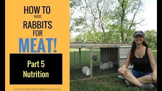 How to Raise Rabbits for Meat Part 5 Rabbit Nutrition [upl. by Rachel]