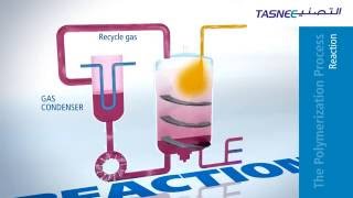 Polypropylene PP Production Process Overview [upl. by Nadeen775]