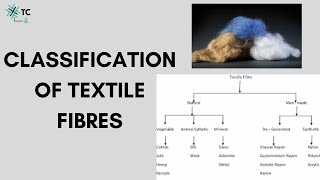 Classification of Textile Fibres Explained [upl. by Dewayne]