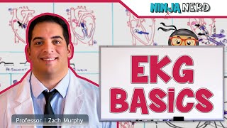 EKG Basics  How to Read amp Interpret EKGs Updated Lecture [upl. by Aerua]