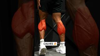 Serious CALVES workout 🔥 shorts [upl. by Dalli772]