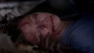 Greys Anatomy  Lexies Death  S08E24 [upl. by Eveivenej]