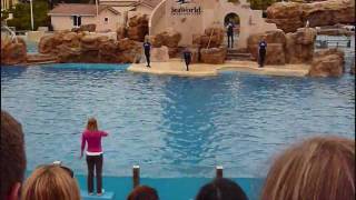 Dolphin Show at Sea World San Diego 09 [upl. by Ayardna770]