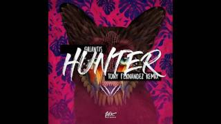 Galantis  Hunter Tony Fernandez Remix [upl. by Anahsat690]