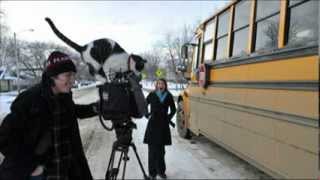 Cat jumps on cameraman [upl. by Season887]