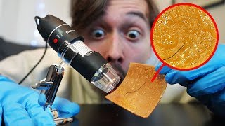 Fromage McDo de 2 ans au Microscope [upl. by Dickie]