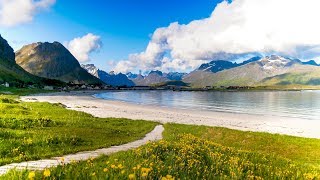 Uplifting Music  light positive happy music Gullrosøya  1 hour [upl. by Earleen]