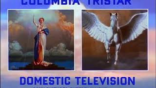 Brillstein Grey CommSteven Levitan ProdsColumbia Tristar Domestic TVSony TV 199720012002 [upl. by Luapleahcim]