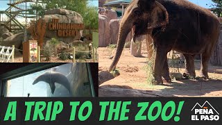 El Paso Texas Zoo [upl. by Ellehcear]