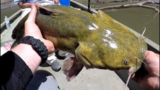 Daytime Flathead Fishing Tips [upl. by Quirita670]