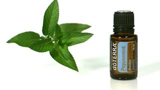 doTERRA® Peppermint Oil Uses and Benefits [upl. by Maxantia]