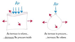 Inhaling and Exhaling  How breathing works [upl. by Anialeh]