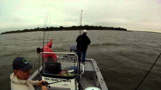 Hybrid Striper Fishing on Lake Tawakoni [upl. by Htebzile]