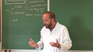 Anatomie générale 1  Cours dostéologie générale [upl. by Erlond]